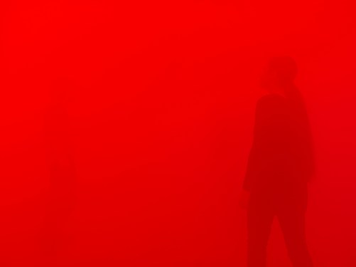 Your Blind Movement, 2010