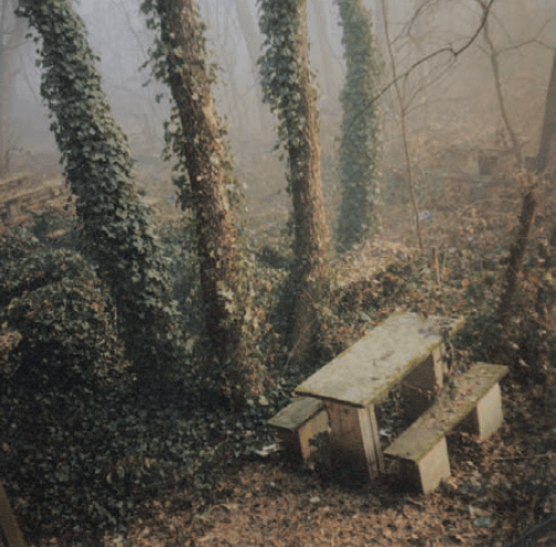 Schermata 2015-11-08 alle 01.42.36