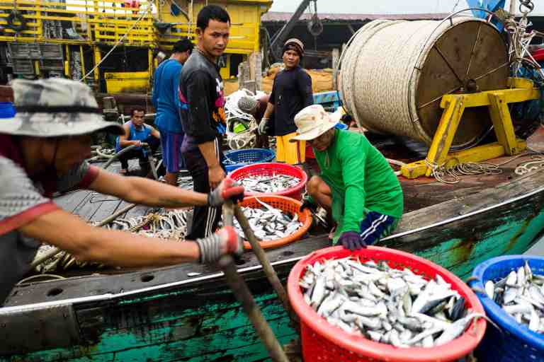 Malesia, settembre 2015. Fishermen in Palau Pangkor.