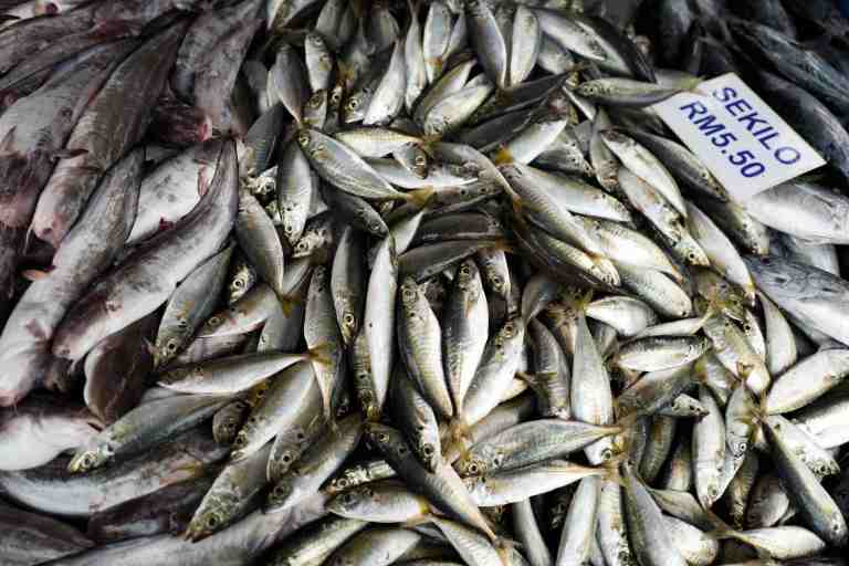 Malesia, settembre 2015. Food at the Palau Pangkor market.